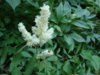 DSC04188.JPG
