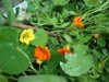 DSC04190.JPG