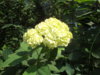 DSC04199.JPG