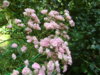 DSC04196.JPG
