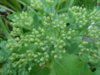 DSC04189.JPG