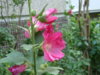 DSC04157.JPG