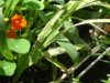 DSC04169.JPG
