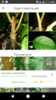 Screenshot_20200815-185034.png