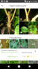 Screenshot_20200815-185302.png