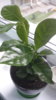 20200830_104031.jpg