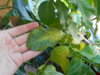 DSCN1548.jpg