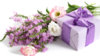 Bouquets_Eustoma_White_background_Gifts_Bowknot_511987_3840x2160.jpg