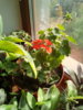 IMG_20201012_132509_9.jpg