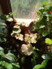 IMG_20201012_132458_9.jpg