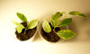InShot_20201011_225336133.jpg