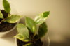 DSC02456.JPG