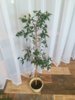 IMG_20201030_141112.jpg