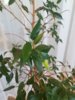 IMG_20201030_141121.jpg