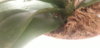 20201107_171245.jpg