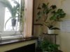 IMG_20201120_115049.jpg