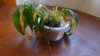20201223_104458.jpg