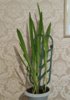 IMG_20201228_163304.jpg