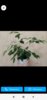 Screenshot_2021-01-17-16-12-20-993_com.avito.android.jpg