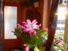 DSCN7502.JPG