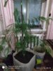 IMG_20210114_081536.jpg