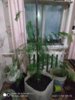 IMG_20210114_081518 — копия.jpg