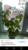 Screenshot_2021-03-17-18-08-09.png