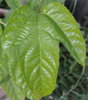 216473_ffaef9fc.jpg