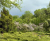 DSC01363.jpg