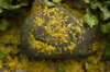 DSC09222.jpg