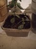 IMG_20210404_203459.jpg