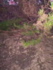 IMG_20210424_200744439.jpg