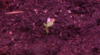 2021-05-30_13-18-51.png