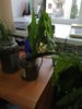 IMG_20210617_165738.jpg