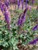 20210726_104755.jpg