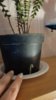 IMG-20210914-WA0129.jpeg