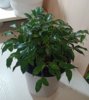IMG_20220109_194131_781.jpg