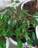 IMG_20220109_194053_939.jpg