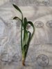IMG_20220117_090237.jpg