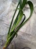 IMG_20220117_090252.jpg