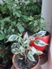 20220203_093659.jpg