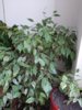 20220203_093707.jpg