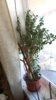 IMG-20220323-WA0000.jpg