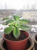 07.04.2022 г.jpg