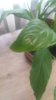 20220410_172541.jpg