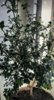 Screenshot_20220624_182223.jpg