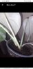 Screenshot_20220710-215043.jpg