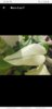 Screenshot_20220710-215033.jpg