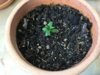 upload_2022-7-31_13-33-23.jpeg