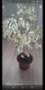 Screenshot_20220906_112204_com.allgoritm.youla.jpg